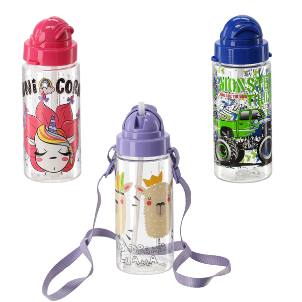 500ML DECORATED BOTTLE WITH STRAW AND STRAP (3 DESIGNS)