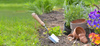 SET OF 100 POTS FOR PLANTING 9 X 7,8 CM PACK=10PL