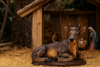 FIGURA KRÁVA 25 x 57 x 40 CM (106,68 CM) polyresin *2931
