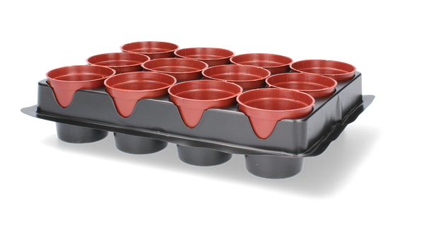SET OF 12 POTS FOR SEEDLINGS FI 6 CM 