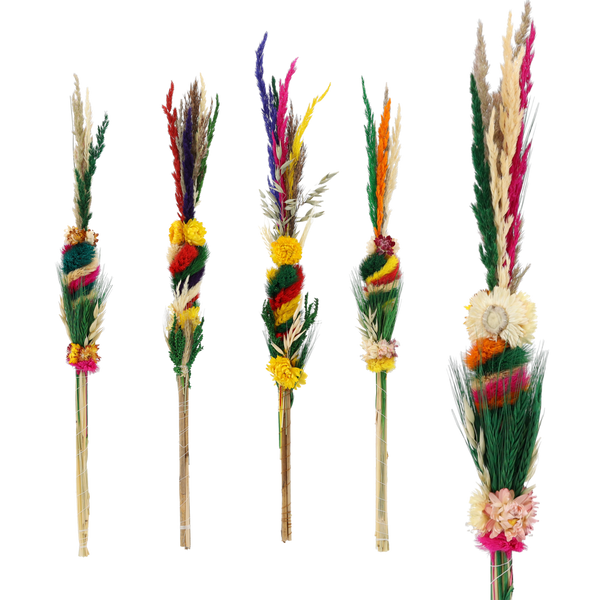 EASTER PALM 60-50 CM