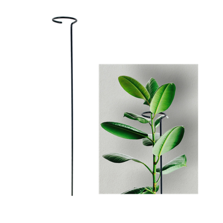 SINGLE PLANT SUPPORT H 60 cm