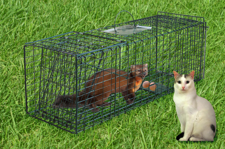 TRAP FOR MARTENS, CATS-LIVERTRAP 93,5X31X31CM ,