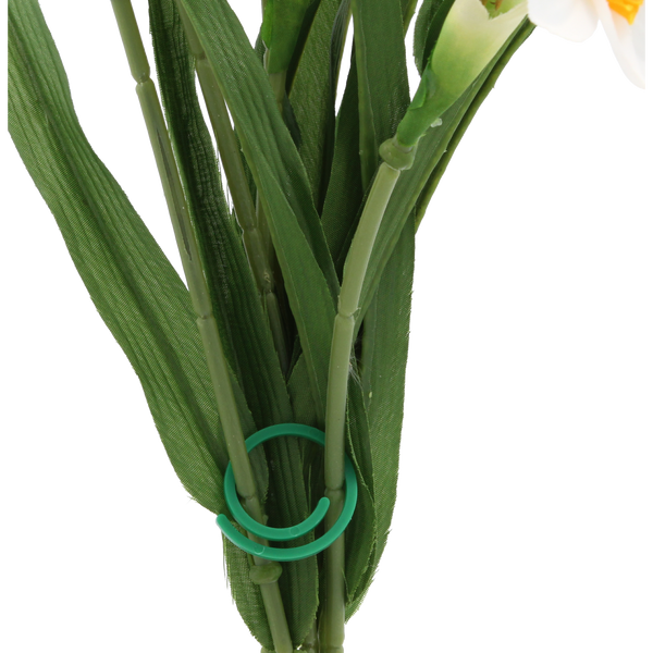 PLASTIC FASTENERS FOR FASTENING PLANTS