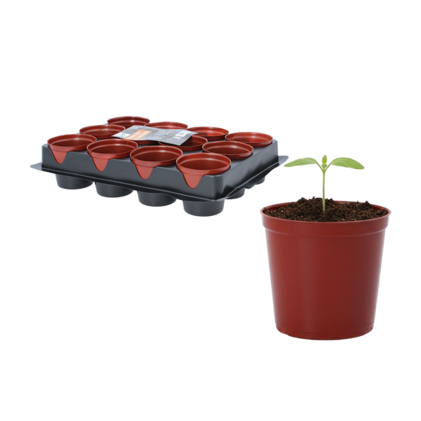 SET OF 12 POTS FOR SEEDLINGS FI 6 CM