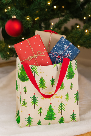 NATURAL LAMINATED CANVAS 30 x 25 x 10 CM CHRISTMAS TREE
