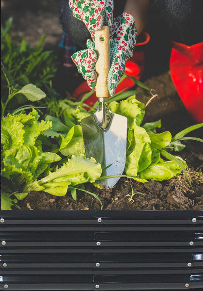 VEGETABLE-FLOWER BED 180 X 90 X 30 CM RECTANGULAR ANTHRACITE