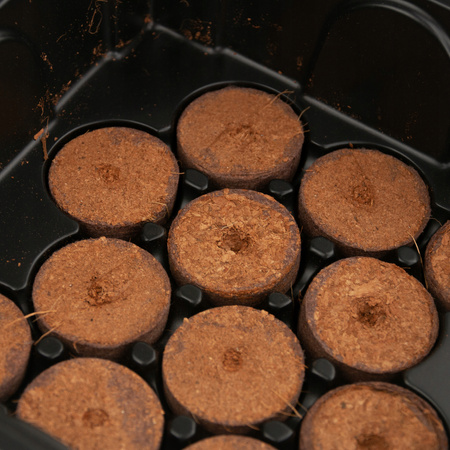 SEED STARTING KIT (MINI GREENHOUSE + 12 PEAT DISCS) packet=4sets *8549