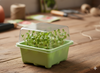 MINI GREENHOUSE FOR GERMINATION 9 CELLS