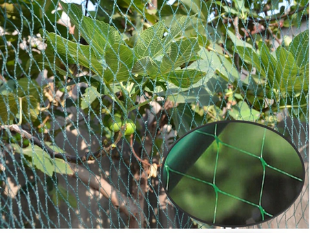 Protective mesh against birds MONO+MONO 8 X 20 M + 16 pins (15 g/m2)