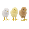 OZDOBA WIELKANOCNA - KURCZĄTKO 7 x 11 CM MIX 3 KOLORÓW opak=6 szt *7947