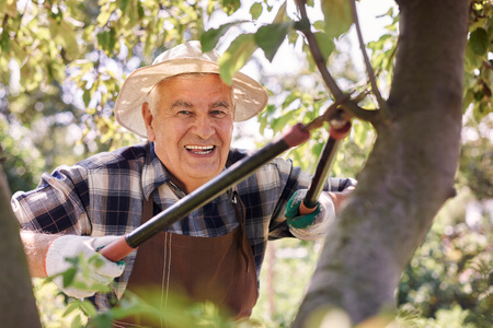 SKLADACIA RUČNÁ PÍLA 17 CM balenie=12ks *8737