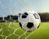 FUTBALOVÁ BRÁNA "CHAMPIONS" S IVOU - 213 x 152 x 75 CM *3395