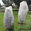 SET OF 2 PLANT PROTECTION COVERS 0,8 X 1,2 M WHITE 50 G