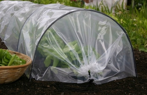 MINI GARDEN GREENHOUSE DIMENSION FOIL 1.8 X 6 M