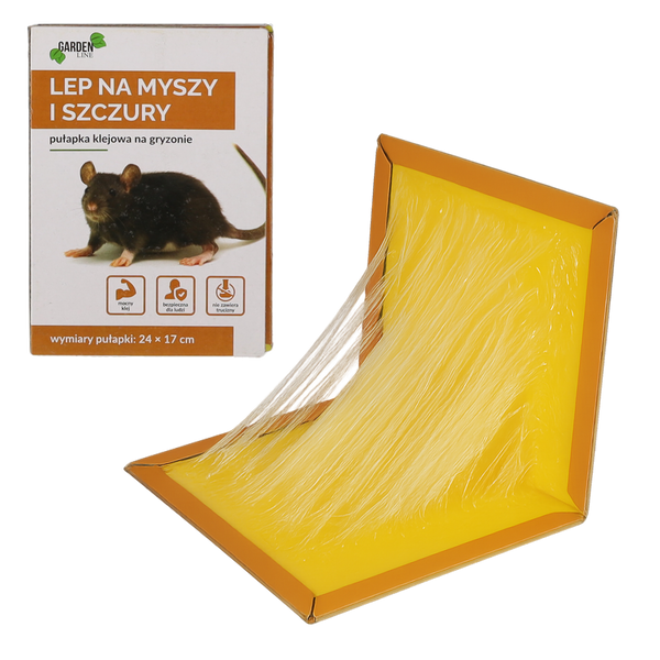 MOUSE GLUE TRAP
