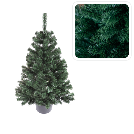 MONTANA SPRUCE IN POT 1.1 M CHRISTMAS TREE