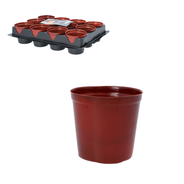 SET OF 12 POTS FOR SEEDLINGS FI 6 CM 