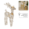 CHRISTMAS DECORATION - LED REINDEER 50 CM CHAMPAGNE GOLD