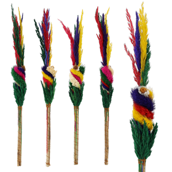 EASTER PALM 40-30 CM