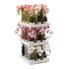 UMĚLÁ KVĚTINA - ORCHIDEA MIX 3 BARVY 30 CM bal=12 ks pal=36 ks *4825