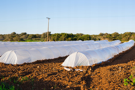 AGROTEXTIL 1.1 x 5 M JARNÍ BÍLÝ 17g *2043