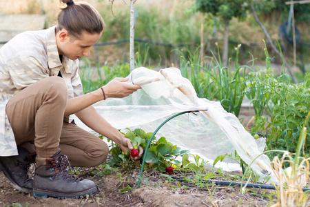 MINI GARDEN GREENHOUSE DIMENSION FOIL 1.8 X 6 M