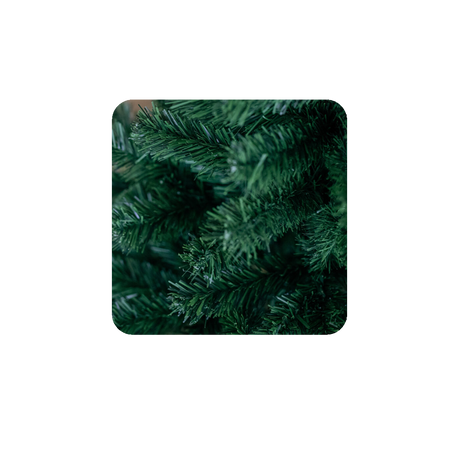 MONTANA SPRUCE IN POT 1.1 M CHRISTMAS TREE