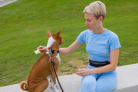 DOG ACCESSORIES