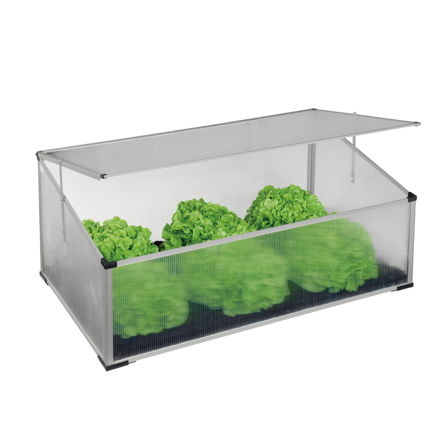 SZKLARNIA / ROZSADNIK 100 x 60 x 30/40 CM Z POLIWĘGLANU pol_pl_SZKLARNIA-ROZSADNIK-100-x-60-x-30-40-CM-Z-POLIWEGLANU-3972-1519_2