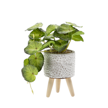 PLANTĂ ARTIFICIALĂ 20 CM ambalaj=6 buc *4870