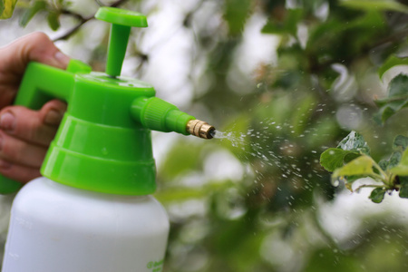 COMPRESSION SPRAYER 1 L pack=6 pcs