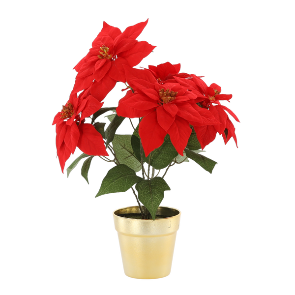 UMELÝ KVET - BETLEHEMSKÁ HVIEZDA 49 CM V ZLATEJ KYPERKE ČERVENÁ *3827