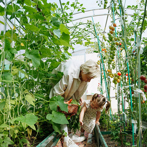 Garden tunnel rack 3-segment 4 x 2.5m