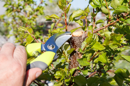 GARDEN PRUNING SHEARS 20 CM