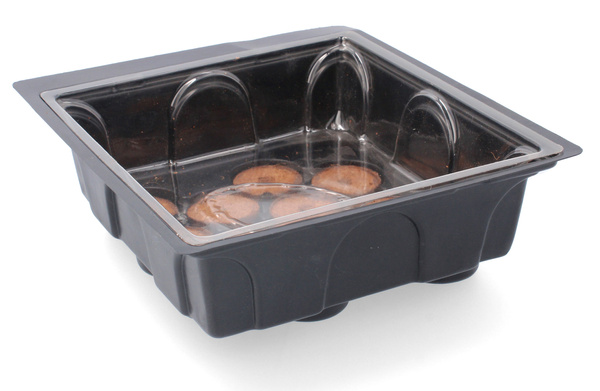 SEED STARTING KIT (MINI GREENHOUSE + 12 PEAT DISCS) 