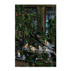 SET OF 5 SOLAR BIRDS STRING LIGHTS WITH CLIPS WARM WHITE LED