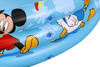 BASENIK OGRODOWY FI 122 X H 25 CM MICKEY & FRIENDS *1576