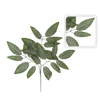 ARTIFICIAL BRANCH - WALNUT LEAF 72 x 61 CM