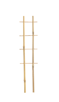 Bamboo double ladder 37 cm pack=25 pcs
