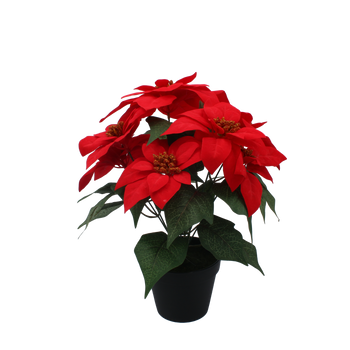 SZTUCZNY KWIAT - GWIAZDA BETLEJEMSKA 35 CM W CZARNEJ DONICZCE CZERWONY *3797