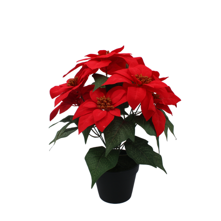 FLORIE ARTIFICIALĂ - STEAUA BETLEHEMULUI 35 CM ÎN GHIVECI NEGRU ROȘU *3797