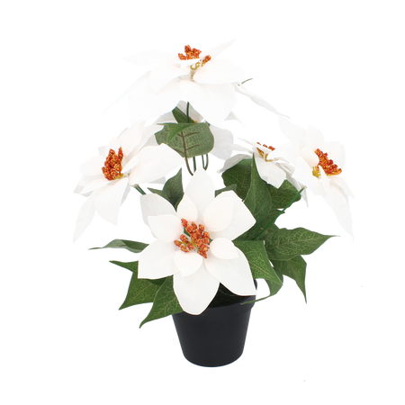 FLOARE ARTIFICIALĂ - STEAUA BETLEHEMULUI 35 CM ÎN GHIVECUL NEGRU ALB *3803