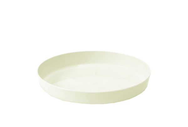 BASE NUMBER 5 - CREAMY (fi 197) *6064*