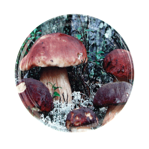 LID f 82 6Z MIX MUSHROOMS 091 pcs. 750