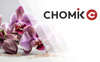 ARTIFICIAL ORCHID WHITE/PINK 70 CM