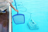 POOL SKIMMER NET 27X30CM