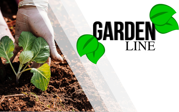 VEGETABLE-FLOWER BED 240 X 120 X 30 CM RECTANGULAR ANTHRACITE