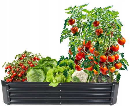 GRĂDINĂ DE LEGUME ȘI FLORI 180 X 90 X 30 CM RECTANGULARĂ ANTRACIT *8410