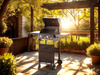 GAS GRILL 2-BURNER 5,4 kW
